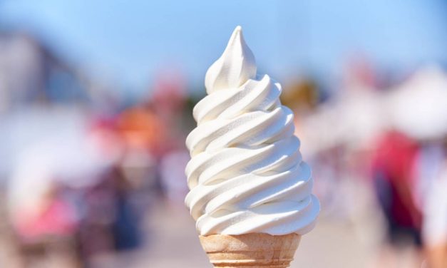 Comment choisir une machine à glace italienne professionnelle ?