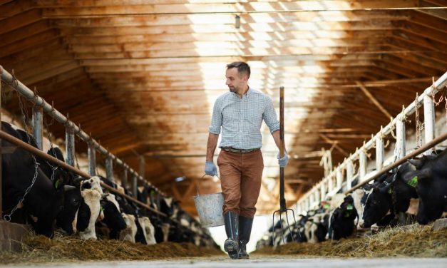 Comment faire venir du public dans votre ferme ?