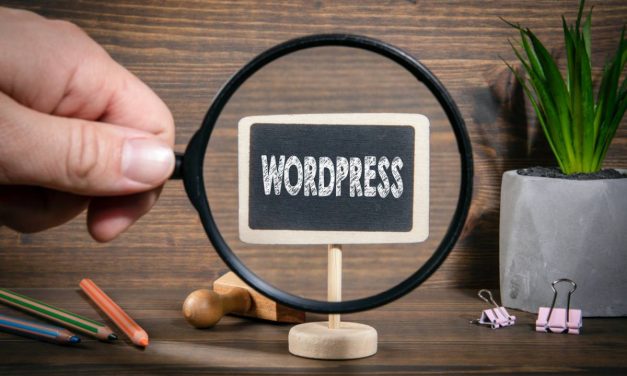 Les failles de WordPress : comment en protéger votre site ?