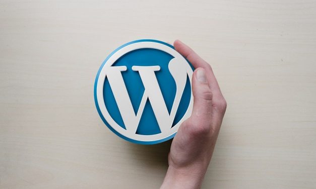 Les astuces pour maitriser WordPress