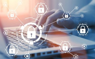 Site web professionnel : l’importance d’un hébergement performant