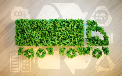 Supply chain : comment s&rsquo;adapter aux enjeux environnementaux de demain ?