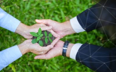 CSDR et entreprise responsable : quelles solutions pour rapprocher finance et durabilité ?